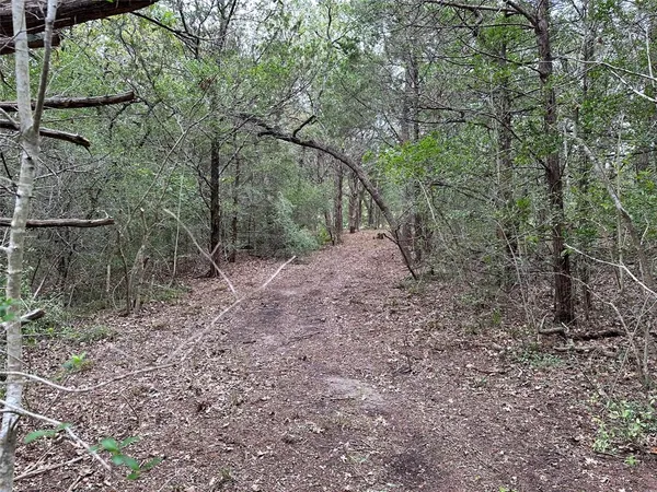 a close up view of a shower