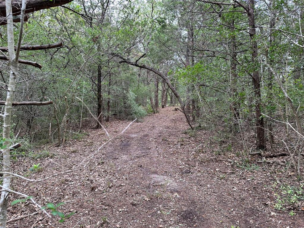 Tbd Lot 1 Tbd Road Smithville, TX 78957 - Photo 10 of 12 a view of a yard with a tree