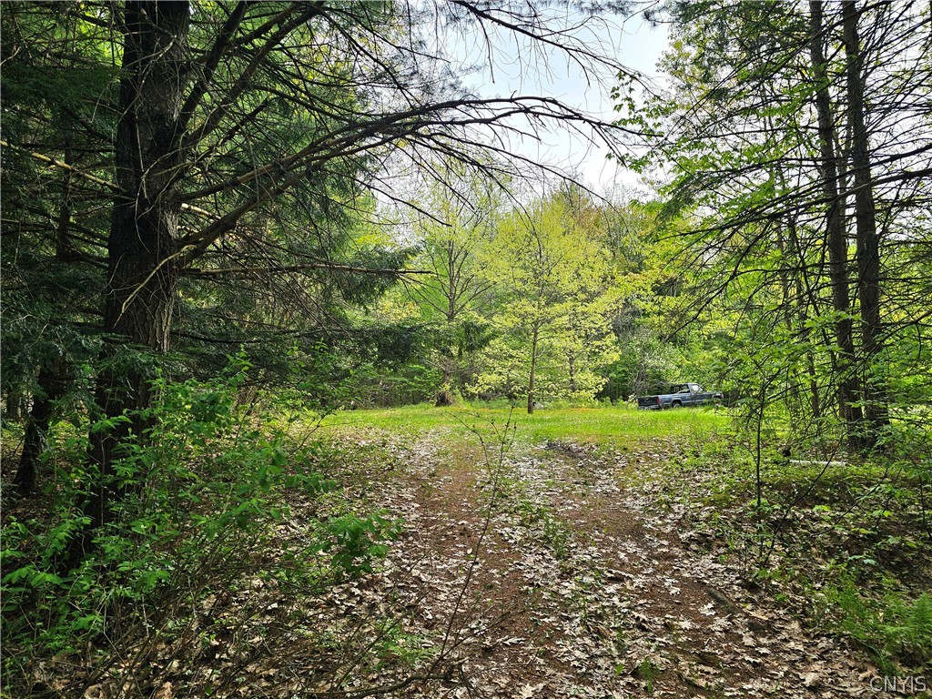 0 Cotton Road Carthage, NY 13619 - Photo 22 of 48