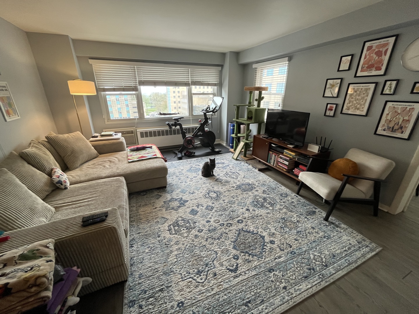 2909 North Sheridan Road, Unit 809 Chicago, IL 60657 - Photo 3 of 16 a living room with furniture and a flat screen tv