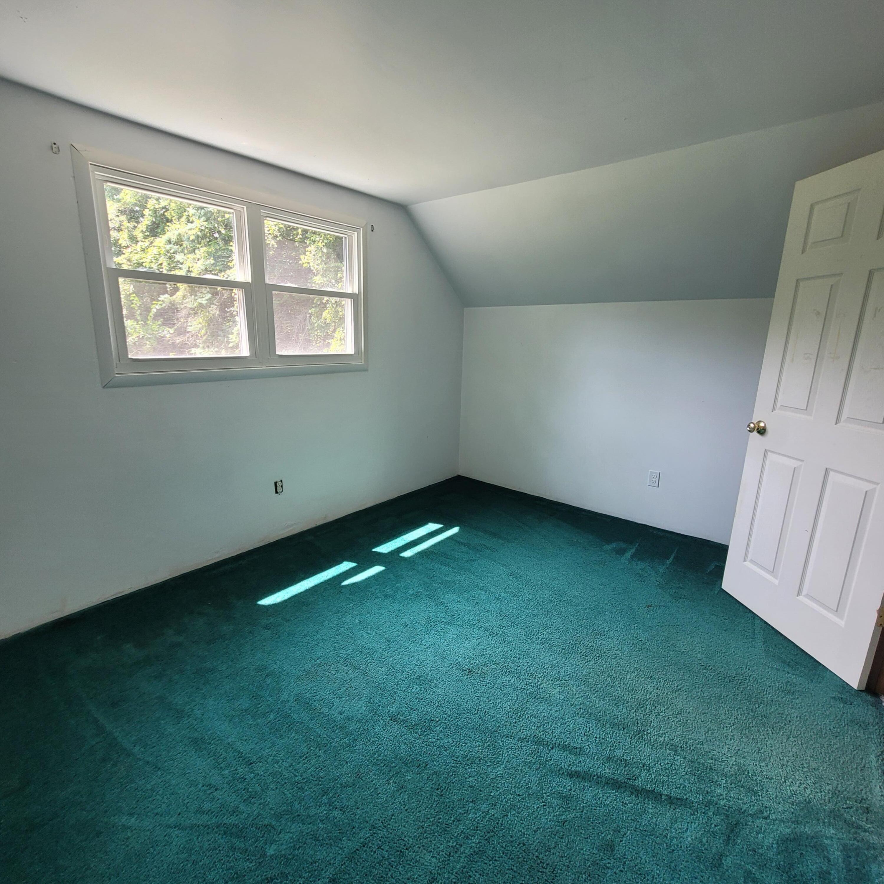 11101 Ladd Road Brooklyn, MI 49230 - Photo 34 of 60 20230805_130943