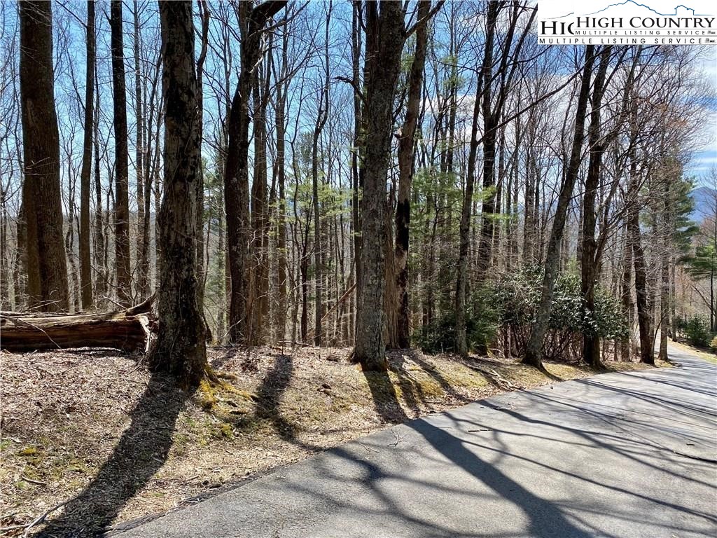 Vista Circle Boone, NC 28607 - Photo 2 of 8 Gallery Image 2
