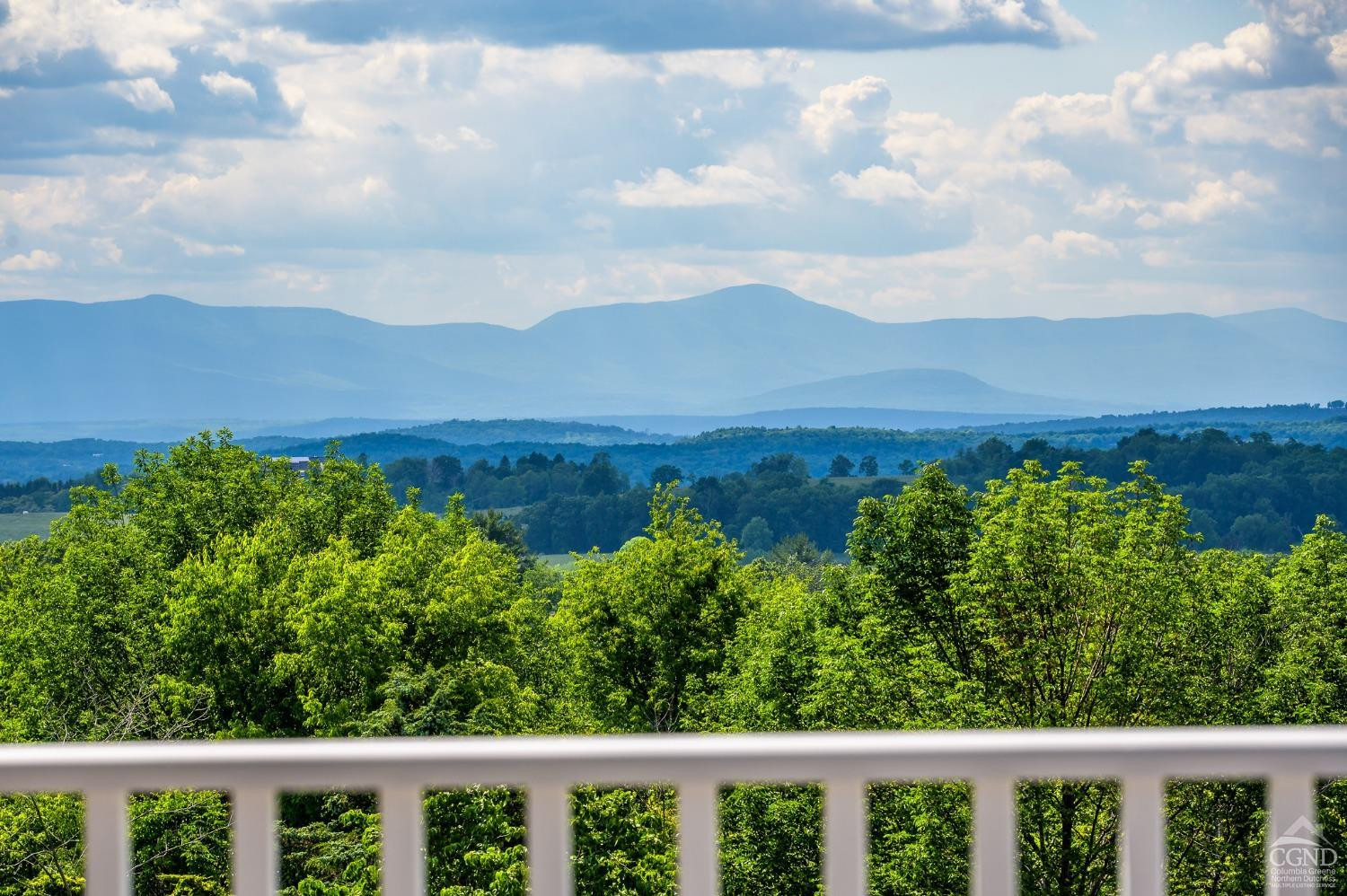 38 Miller Farm Road Claverack, NY 12413 - Photo 8 of 37 a view of a forest with a mountain in the background