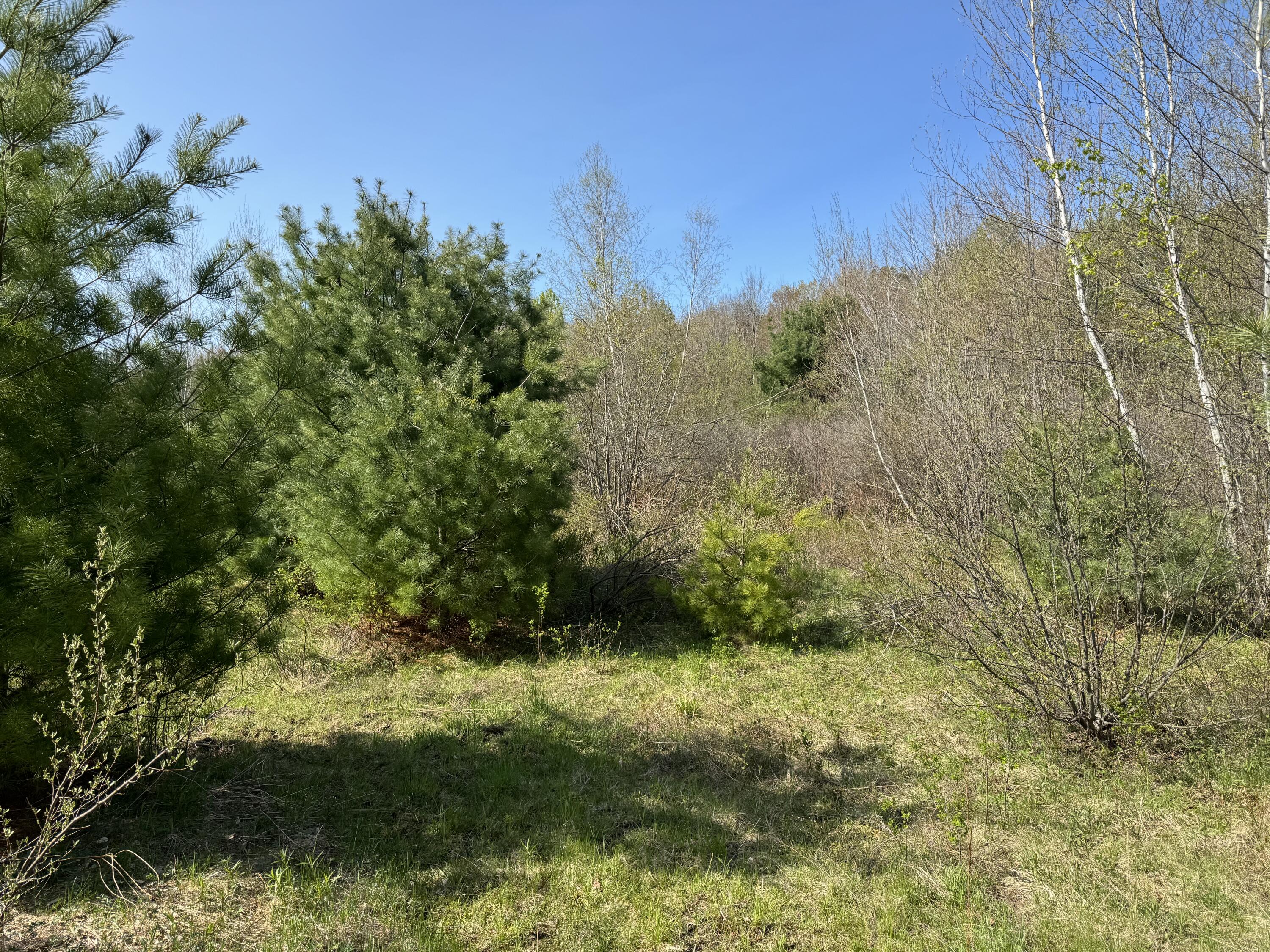 53 Bonin Road Monmouth, ME 04259 - Photo 8 of 29 IMG_1817