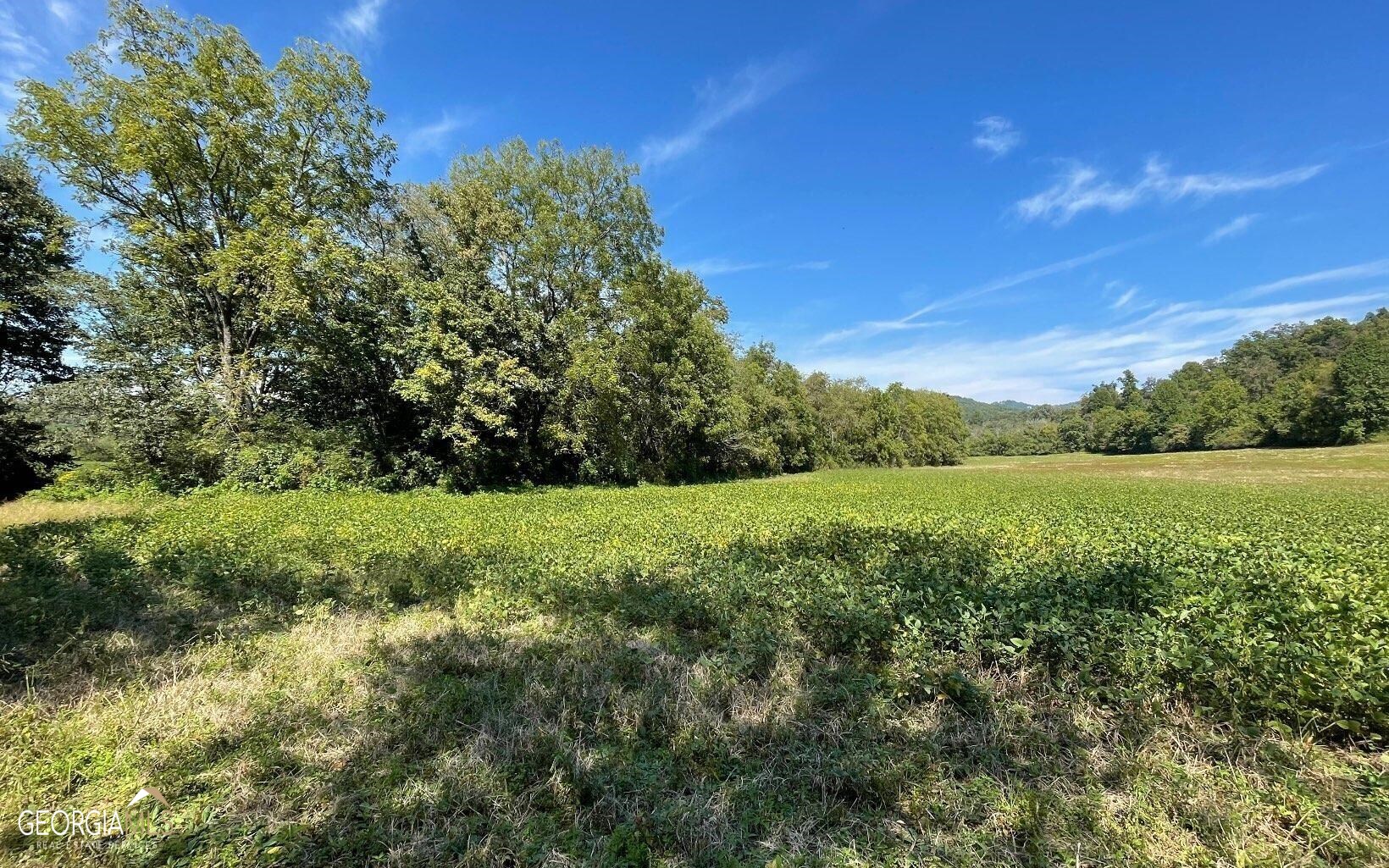 37-acres Jarrett Road Hayesville, NC 28904 - Photo 1 of 61
