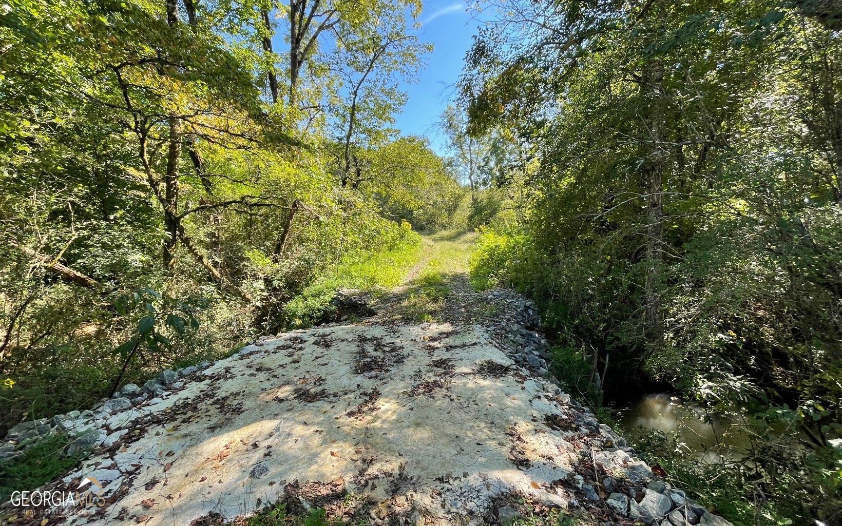 37-acres Jarrett Road Hayesville, NC 28904 - Photo 12 of 61