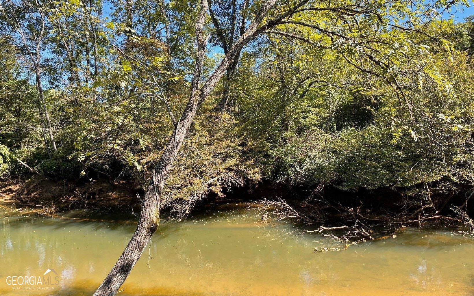37-acres Jarrett Road Hayesville, NC 28904 - Photo 17 of 61