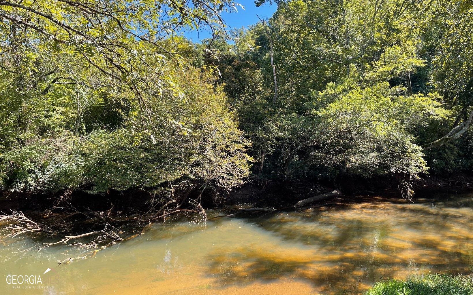 37-acres Jarrett Road Hayesville, NC 28904 - Photo 18 of 61