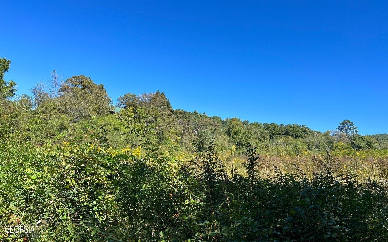 37-acres Jarrett Road Hayesville, NC 28904 - Photo 20 of 61