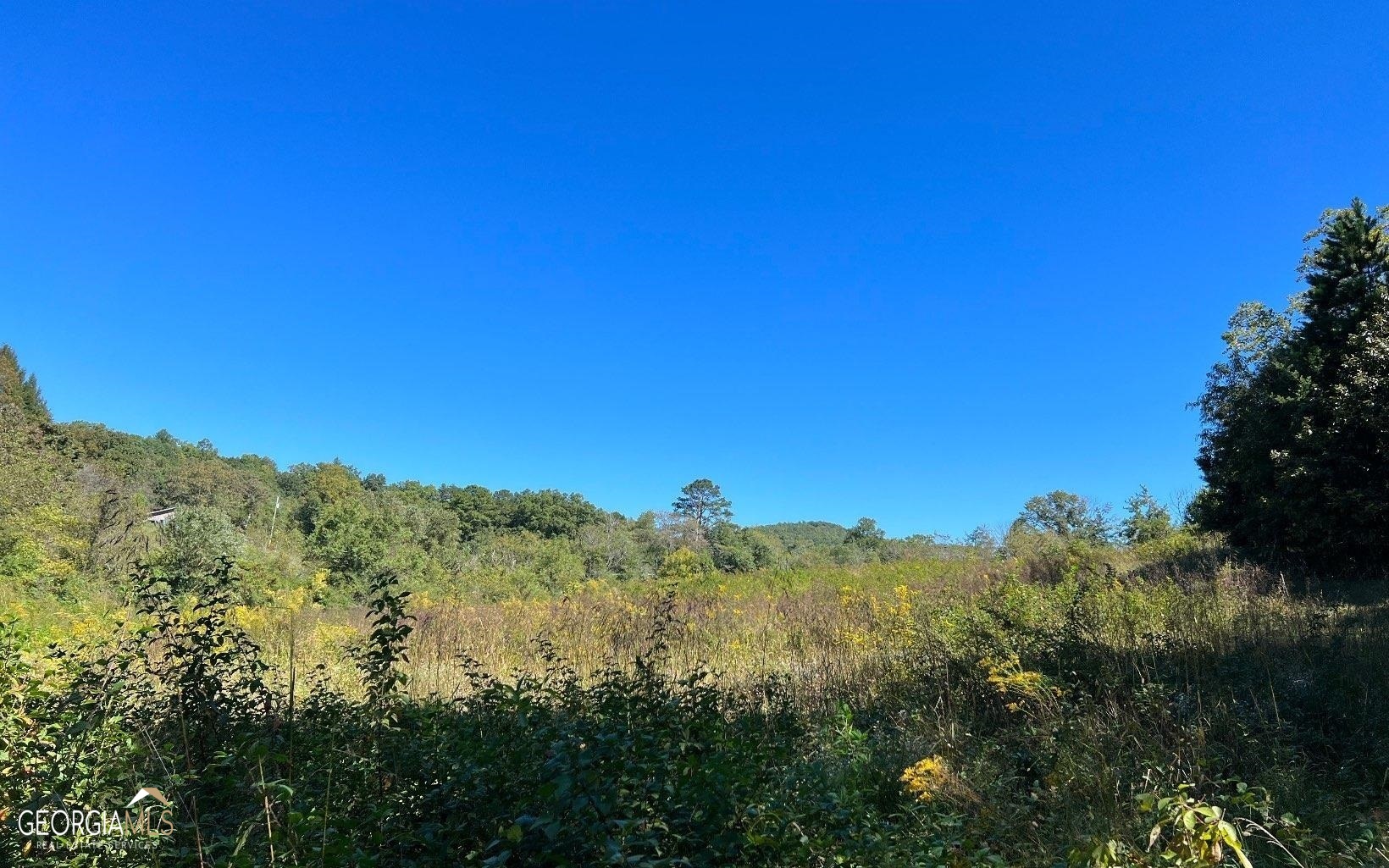37-acres Jarrett Road Hayesville, NC 28904 - Photo 21 of 61