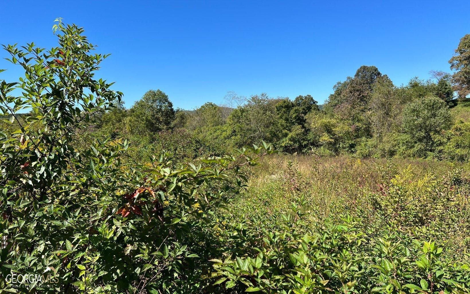 37-acres Jarrett Road Hayesville, NC 28904 - Photo 25 of 61