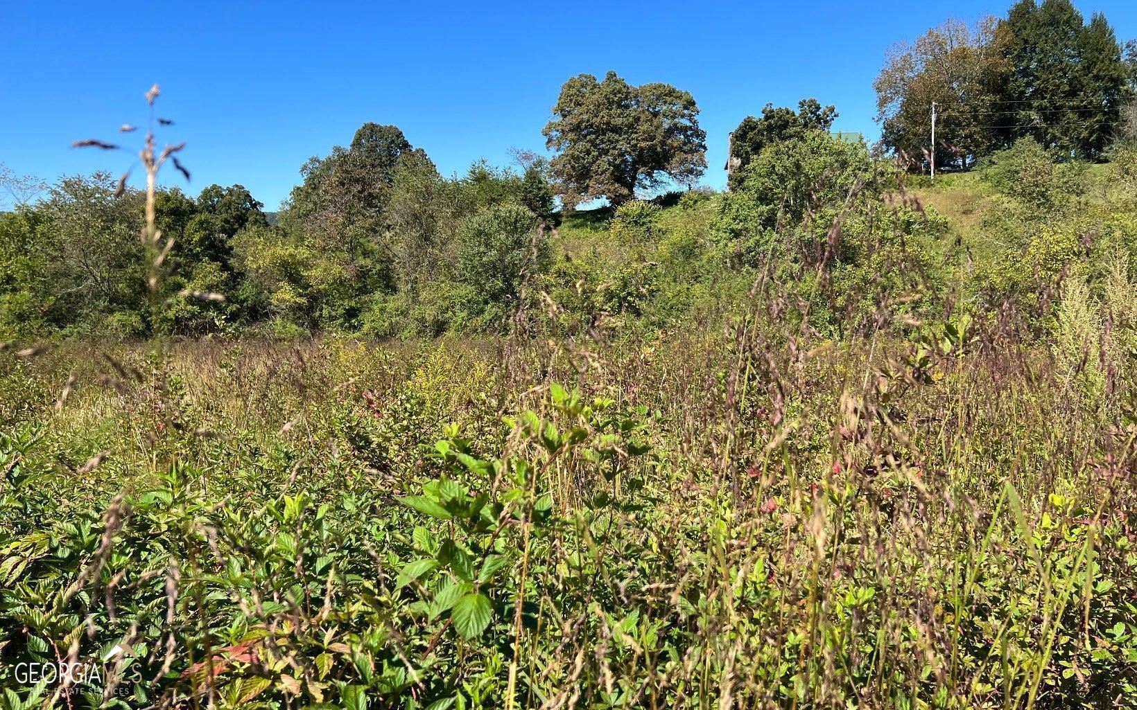 37-acres Jarrett Road Hayesville, NC 28904 - Photo 26 of 61