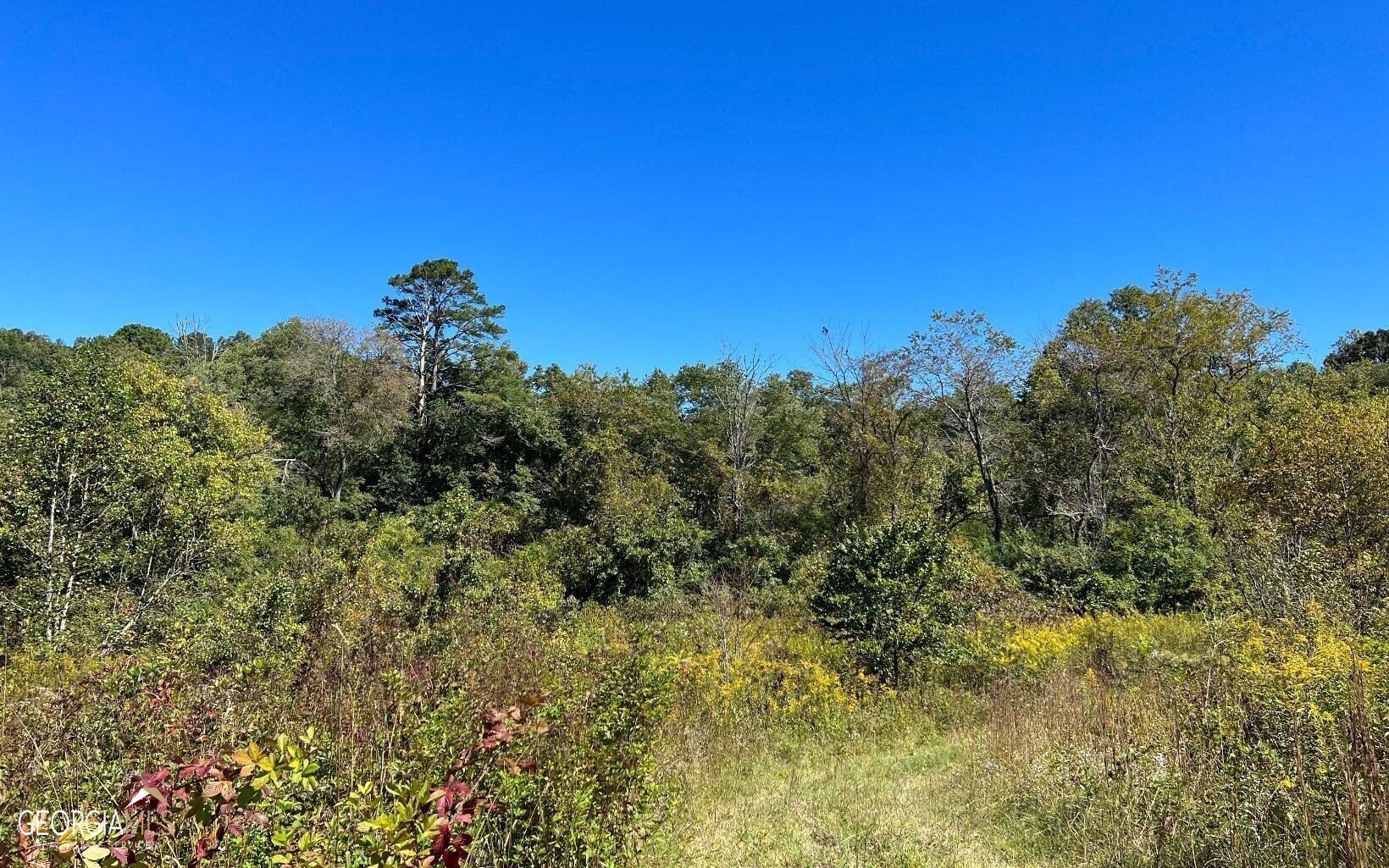37-acres Jarrett Road Hayesville, NC 28904 - Photo 29 of 61