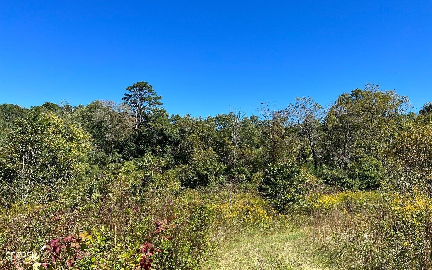 37-acres Jarrett Road Hayesville, NC 28904 - Photo 30 of 61