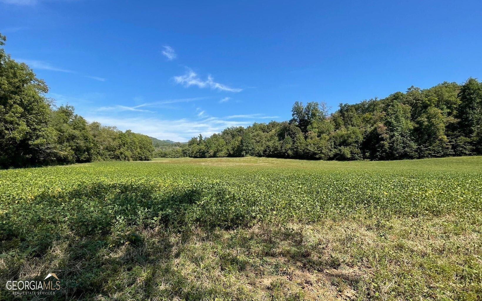 37-acres Jarrett Road Hayesville, NC 28904 - Photo 3 of 61