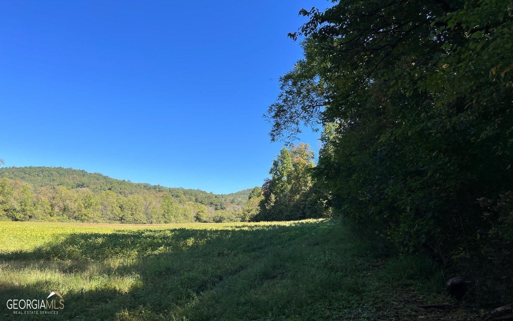 37-acres Jarrett Road Hayesville, NC 28904 - Photo 34 of 61