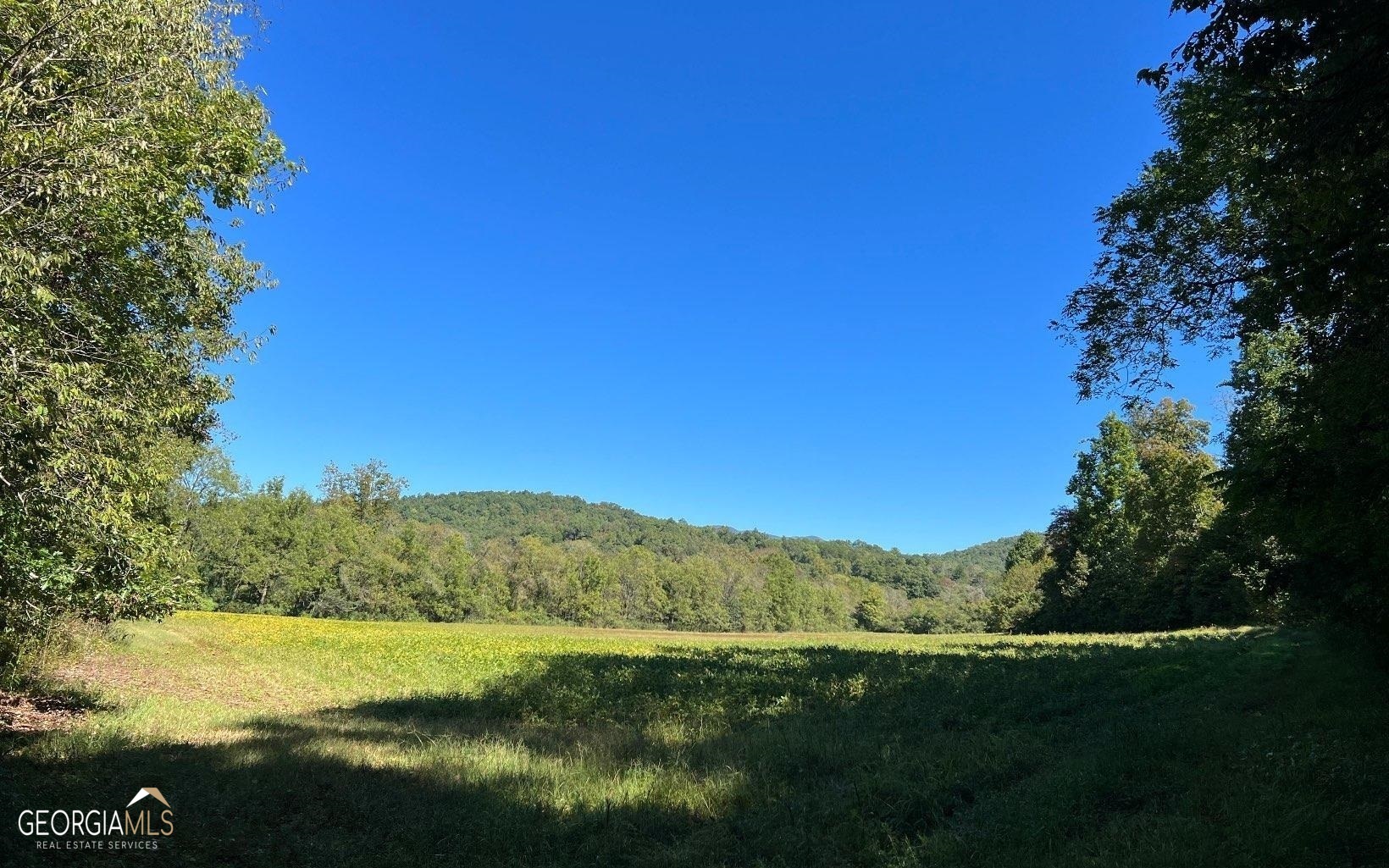 37-acres Jarrett Road Hayesville, NC 28904 - Photo 35 of 61