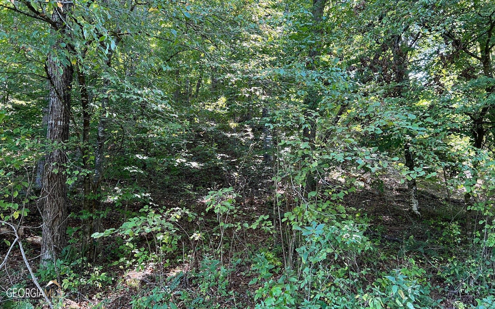 37-acres Jarrett Road Hayesville, NC 28904 - Photo 36 of 61