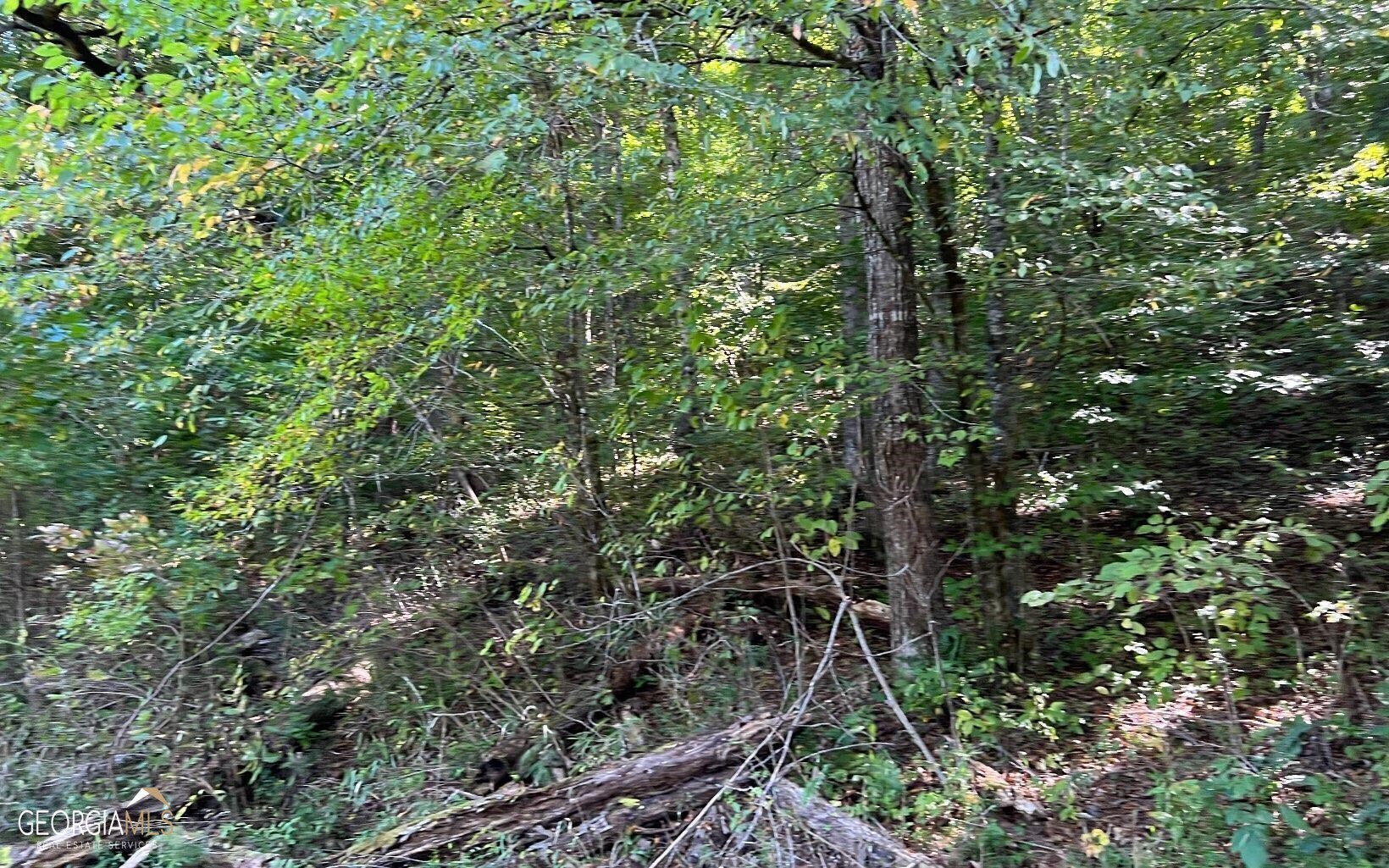 37-acres Jarrett Road Hayesville, NC 28904 - Photo 37 of 61