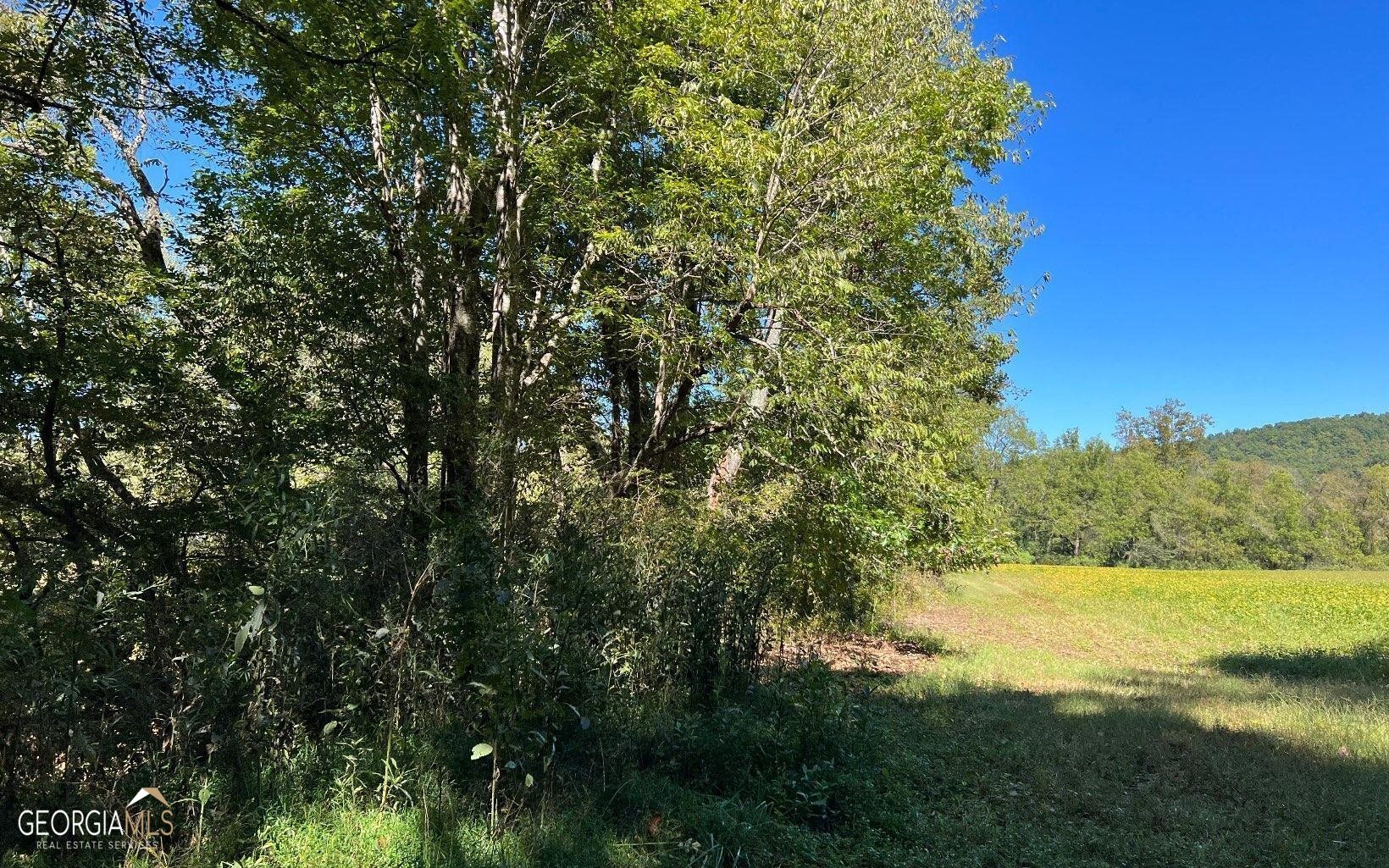 37-acres Jarrett Road Hayesville, NC 28904 - Photo 39 of 61