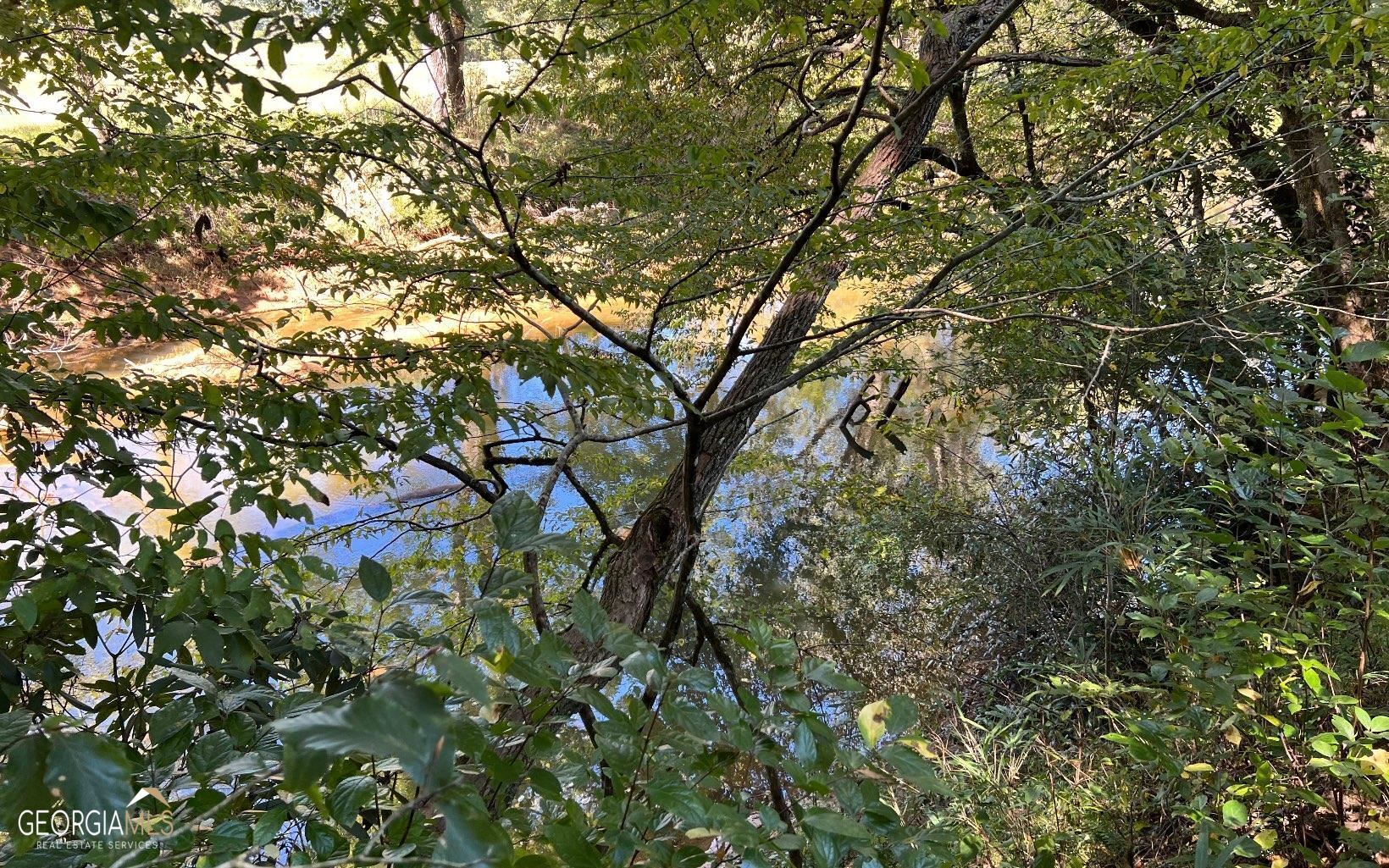 37-acres Jarrett Road Hayesville, NC 28904 - Photo 40 of 61