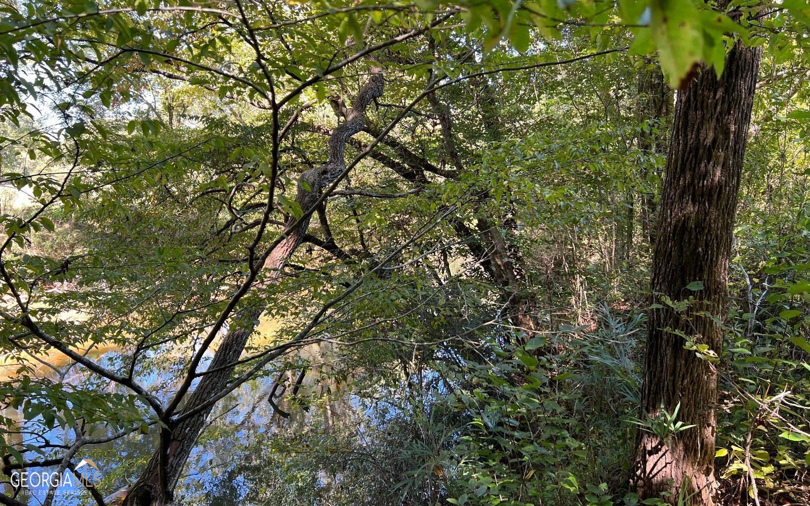 37-acres Jarrett Road Hayesville, NC 28904 - Photo 42 of 61