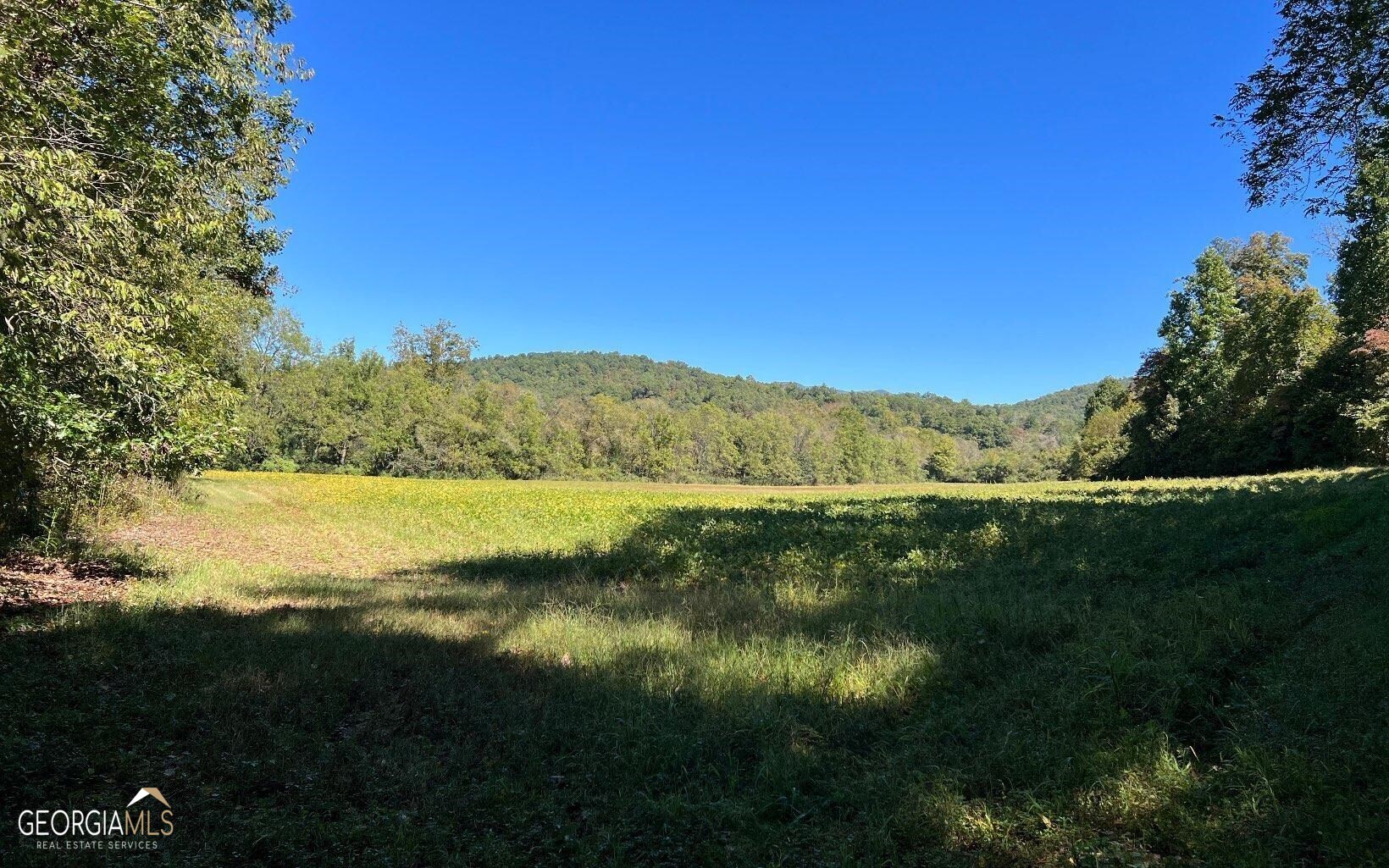 37-acres Jarrett Road Hayesville, NC 28904 - Photo 43 of 61