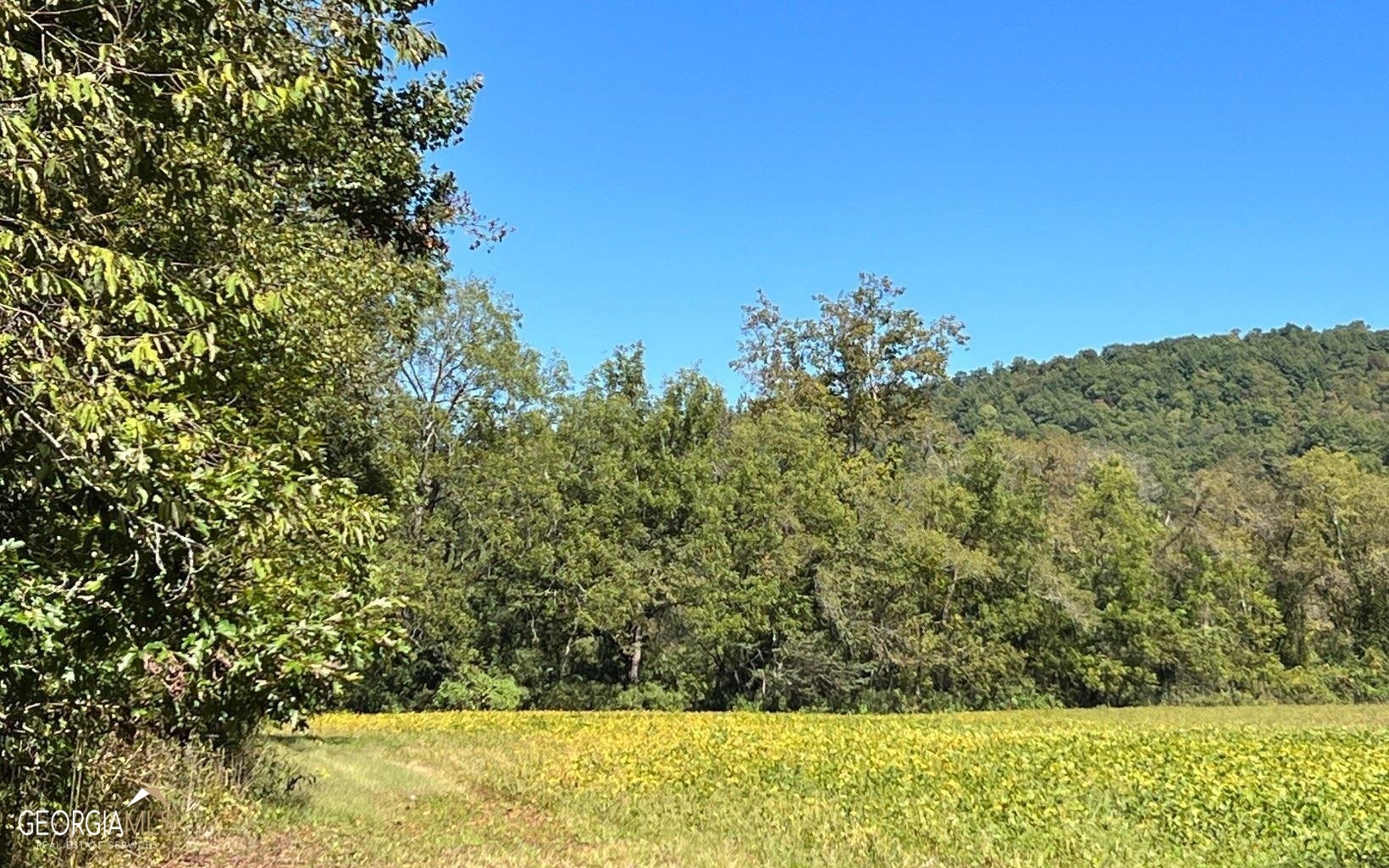 37-acres Jarrett Road Hayesville, NC 28904 - Photo 45 of 61