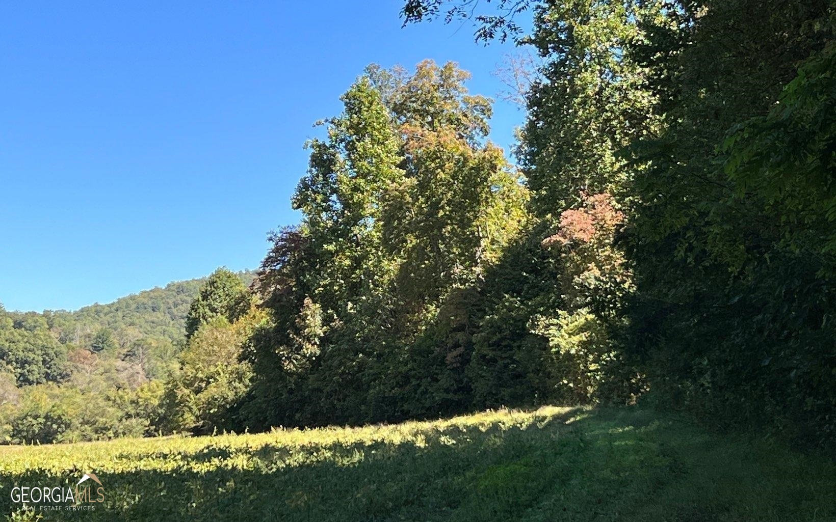 37-acres Jarrett Road Hayesville, NC 28904 - Photo 46 of 61