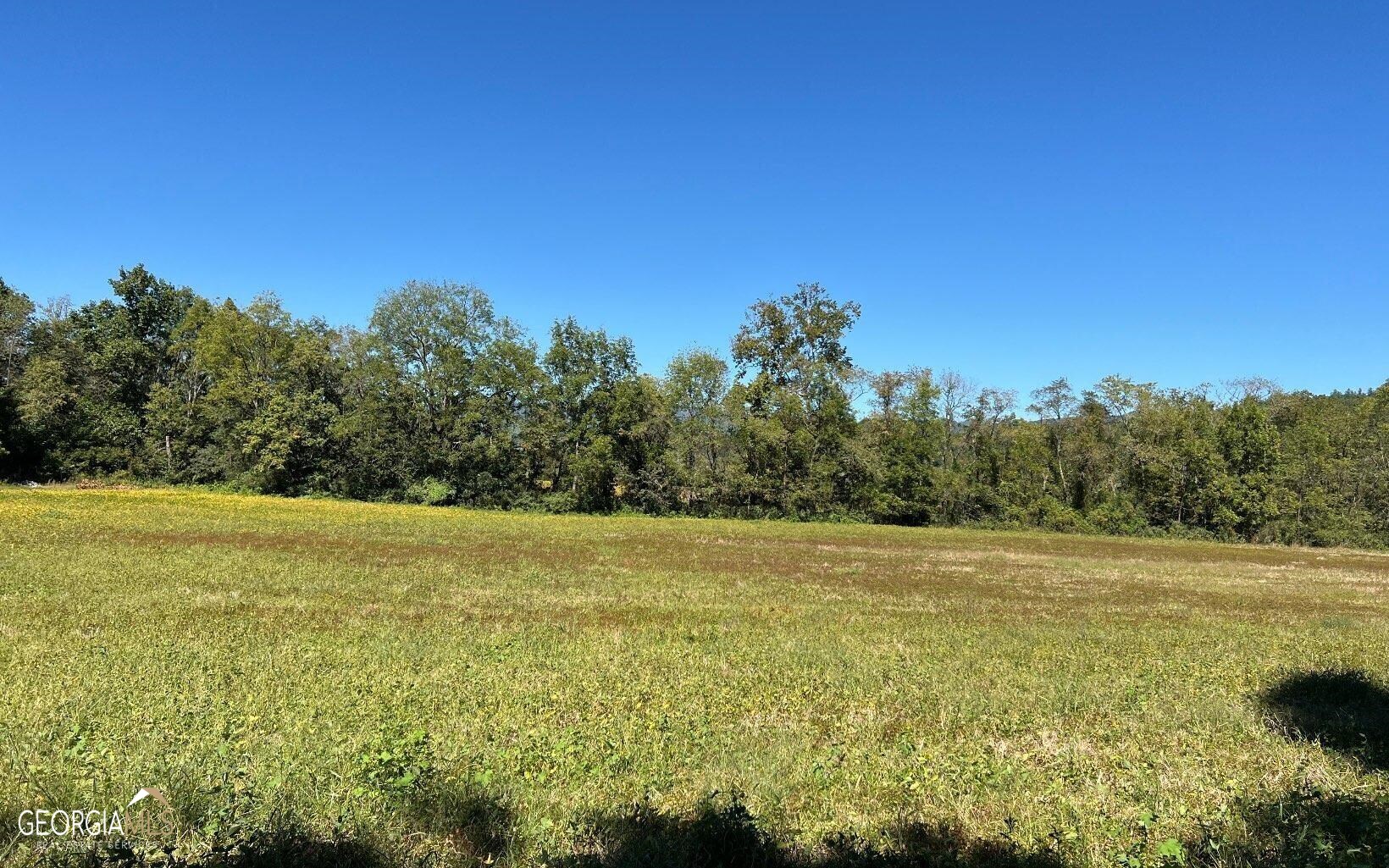 37-acres Jarrett Road Hayesville, NC 28904 - Photo 47 of 61