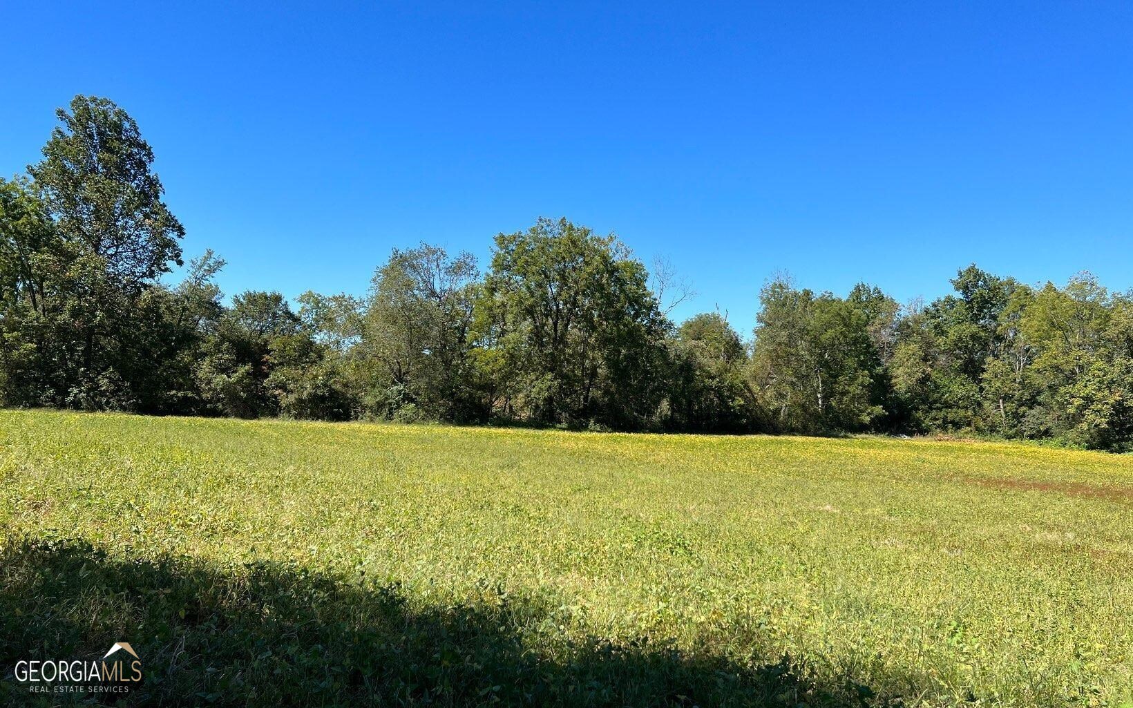 37-acres Jarrett Road Hayesville, NC 28904 - Photo 48 of 61