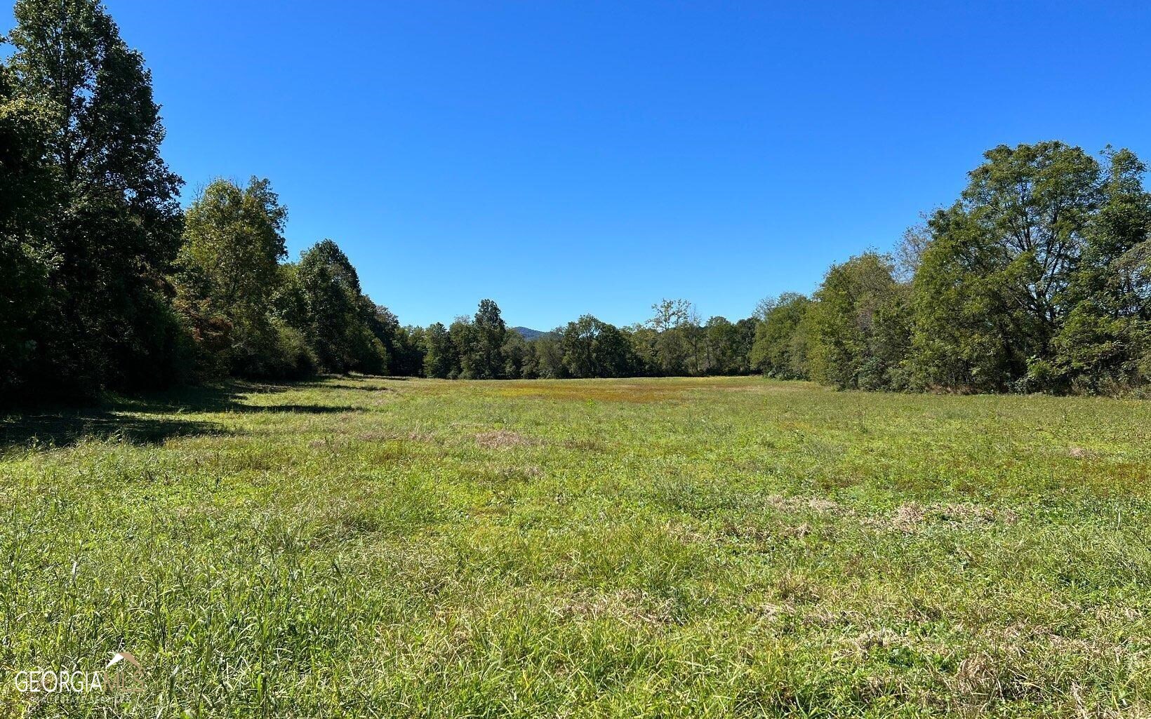 37-acres Jarrett Road Hayesville, NC 28904 - Photo 50 of 61