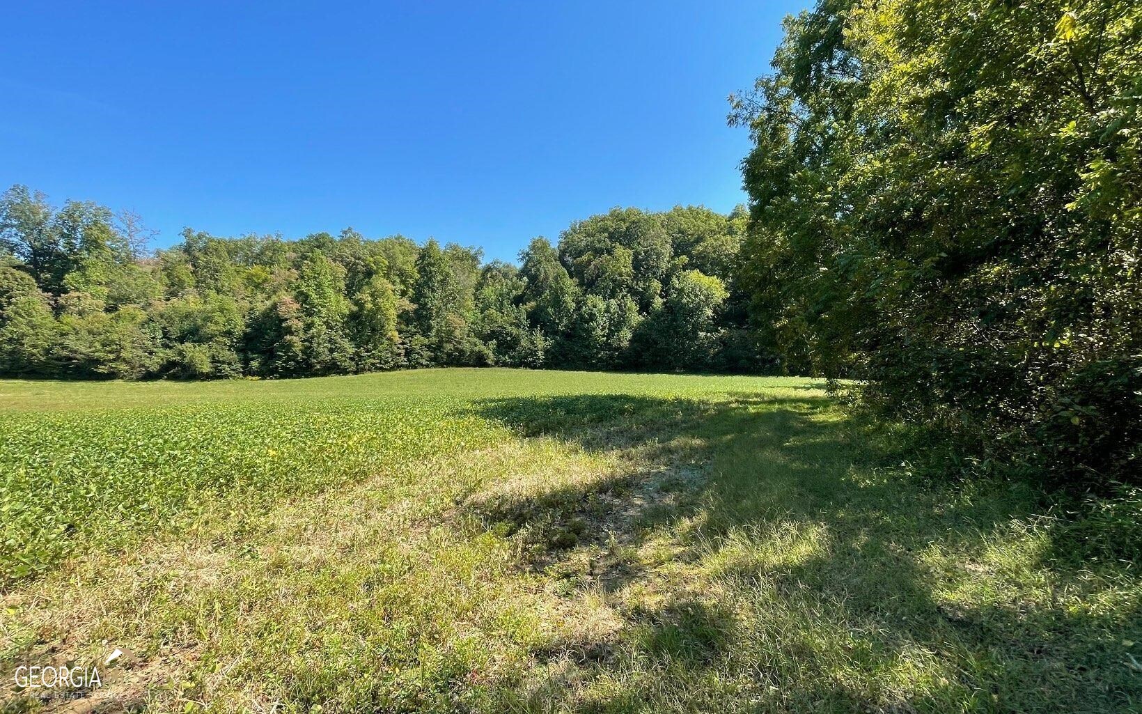 37-acres Jarrett Road Hayesville, NC 28904 - Photo 5 of 61