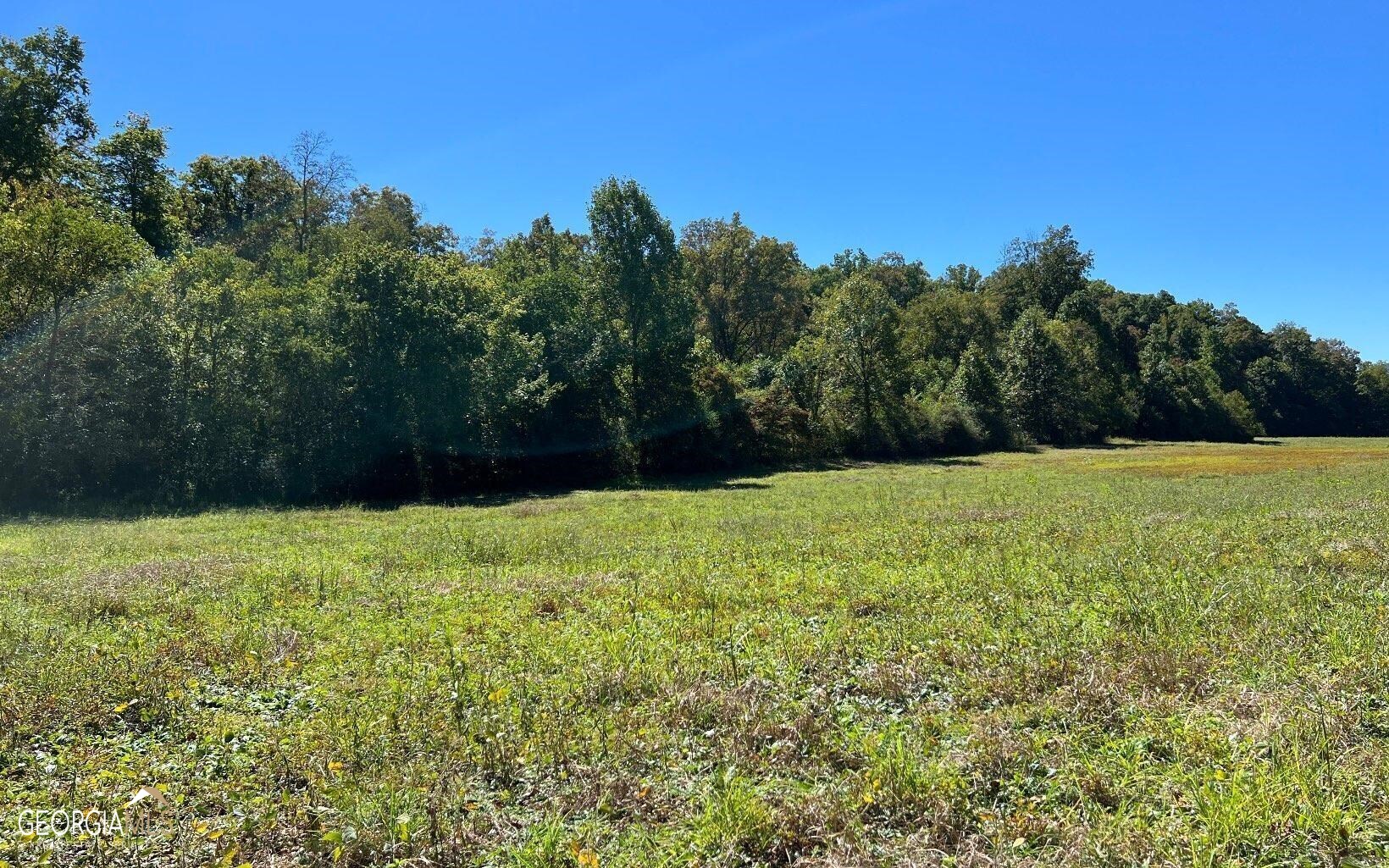 37-acres Jarrett Road Hayesville, NC 28904 - Photo 52 of 61