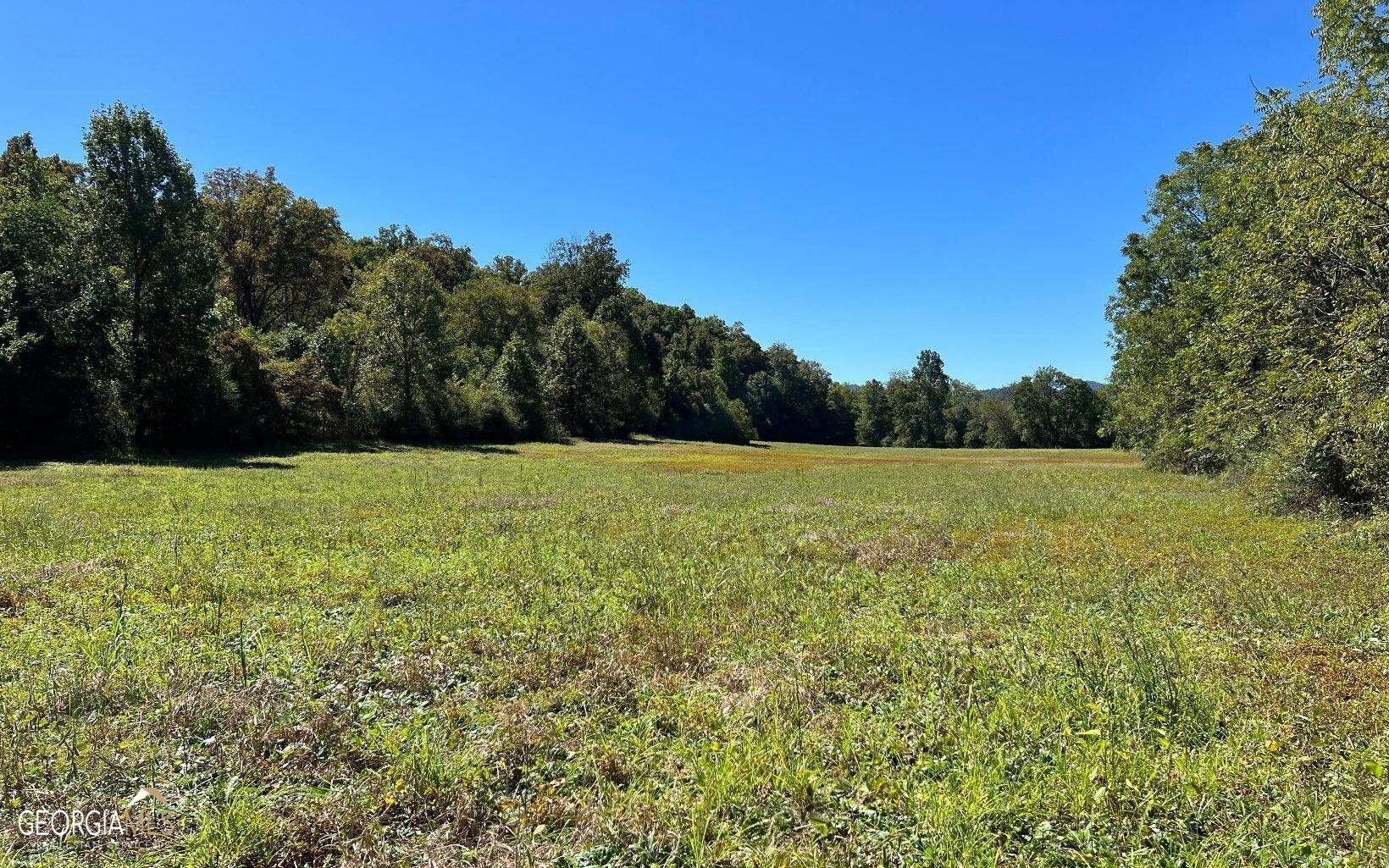 37-acres Jarrett Road Hayesville, NC 28904 - Photo 53 of 61