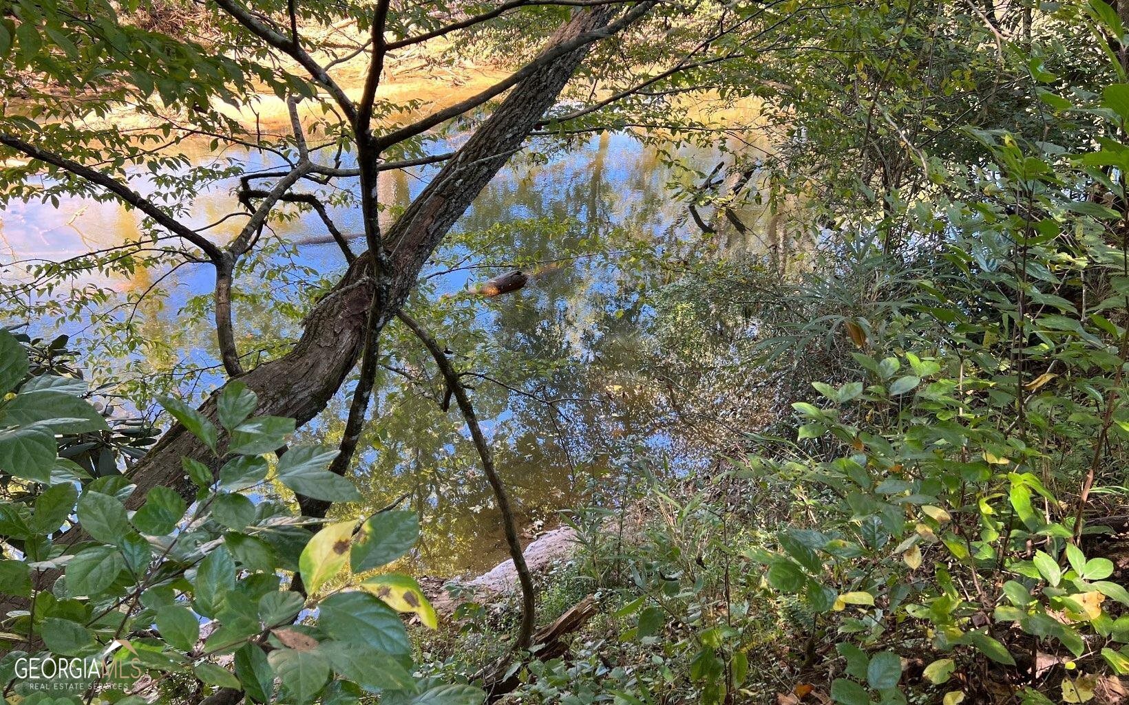 37-acres Jarrett Road Hayesville, NC 28904 - Photo 6 of 61