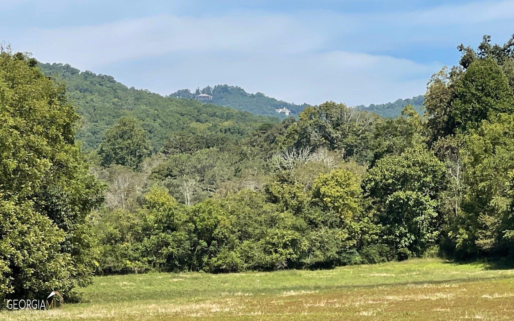 37-acres Jarrett Road Hayesville, NC 28904 - Photo 7 of 61
