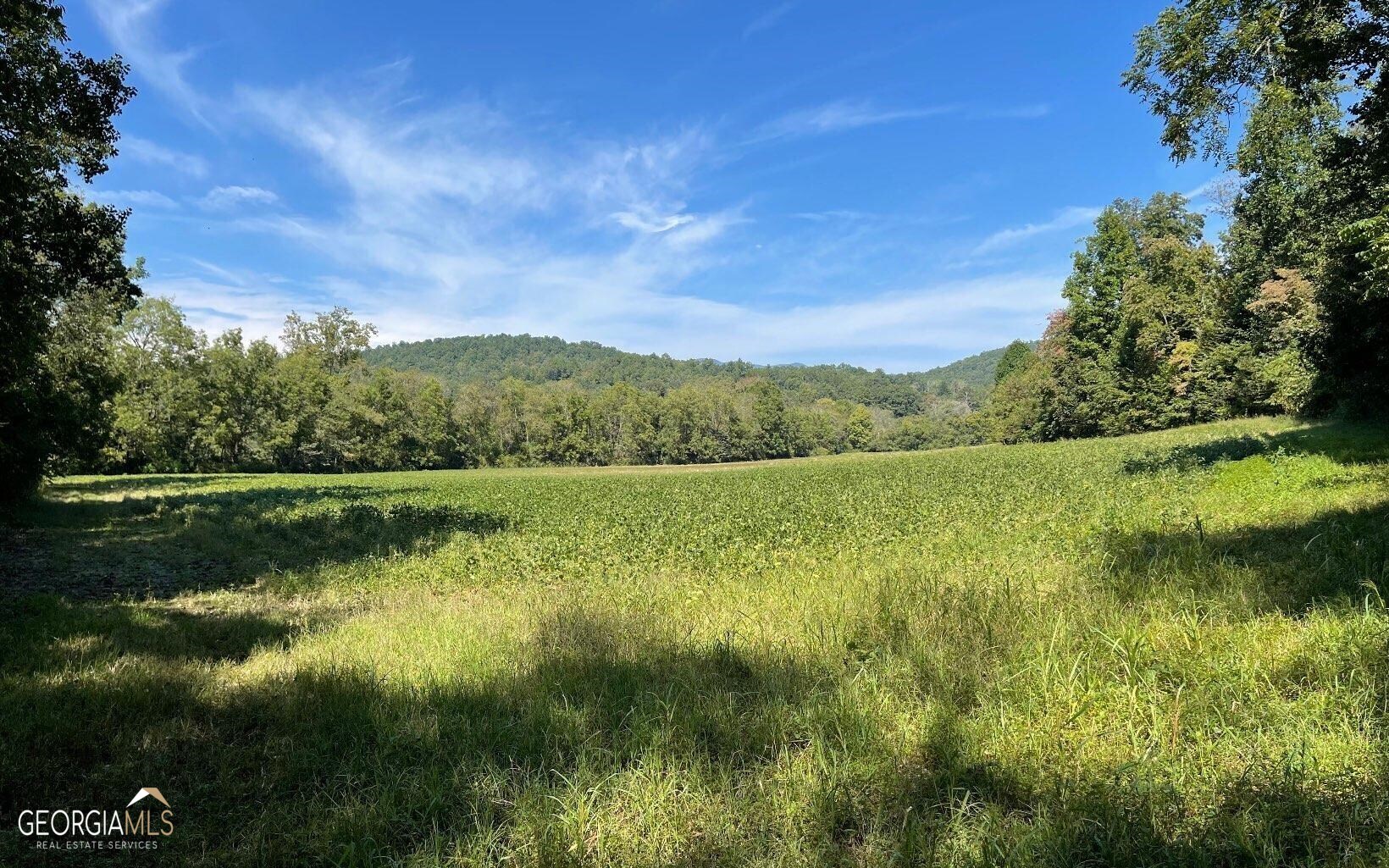 37-acres Jarrett Road Hayesville, NC 28904 - Photo 8 of 61