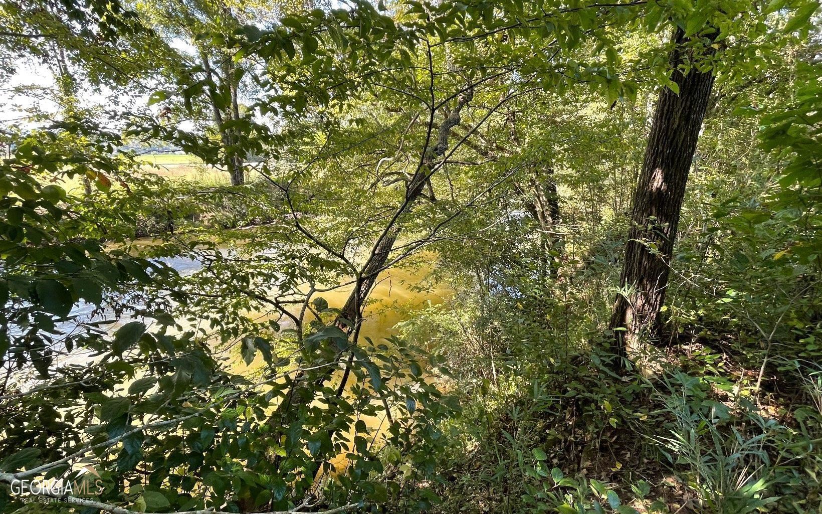 37-acres Jarrett Road Hayesville, NC 28904 - Photo 10 of 61