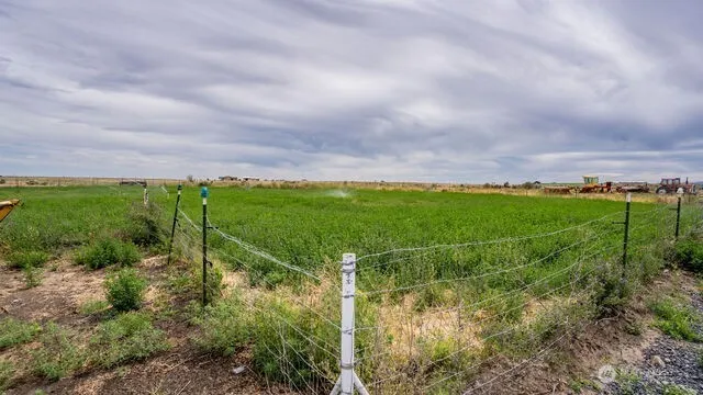 a view of a field with a big yard and large trees