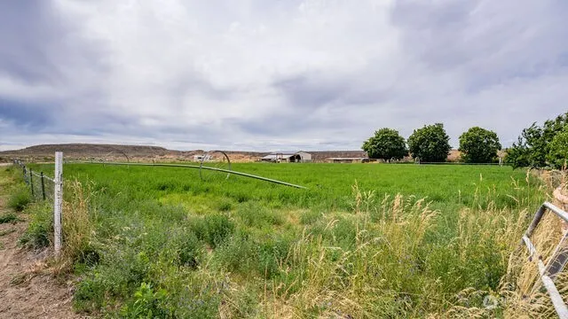 a car parked in front of a house