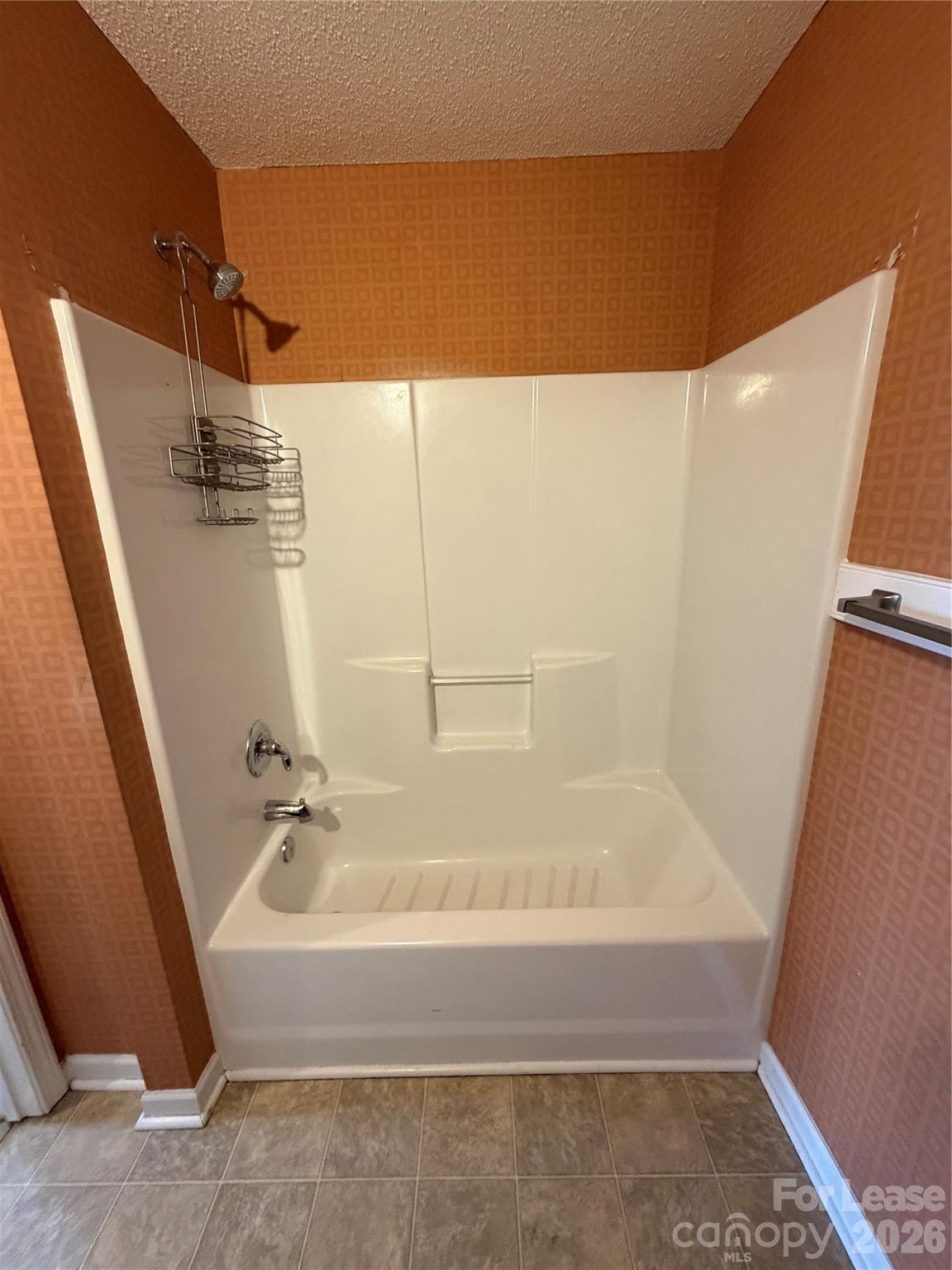 110 Steam Engine Drive, Unit 202 Mooresville, NC 28115 - Photo 21 of 26 a bathroom with a bathtub