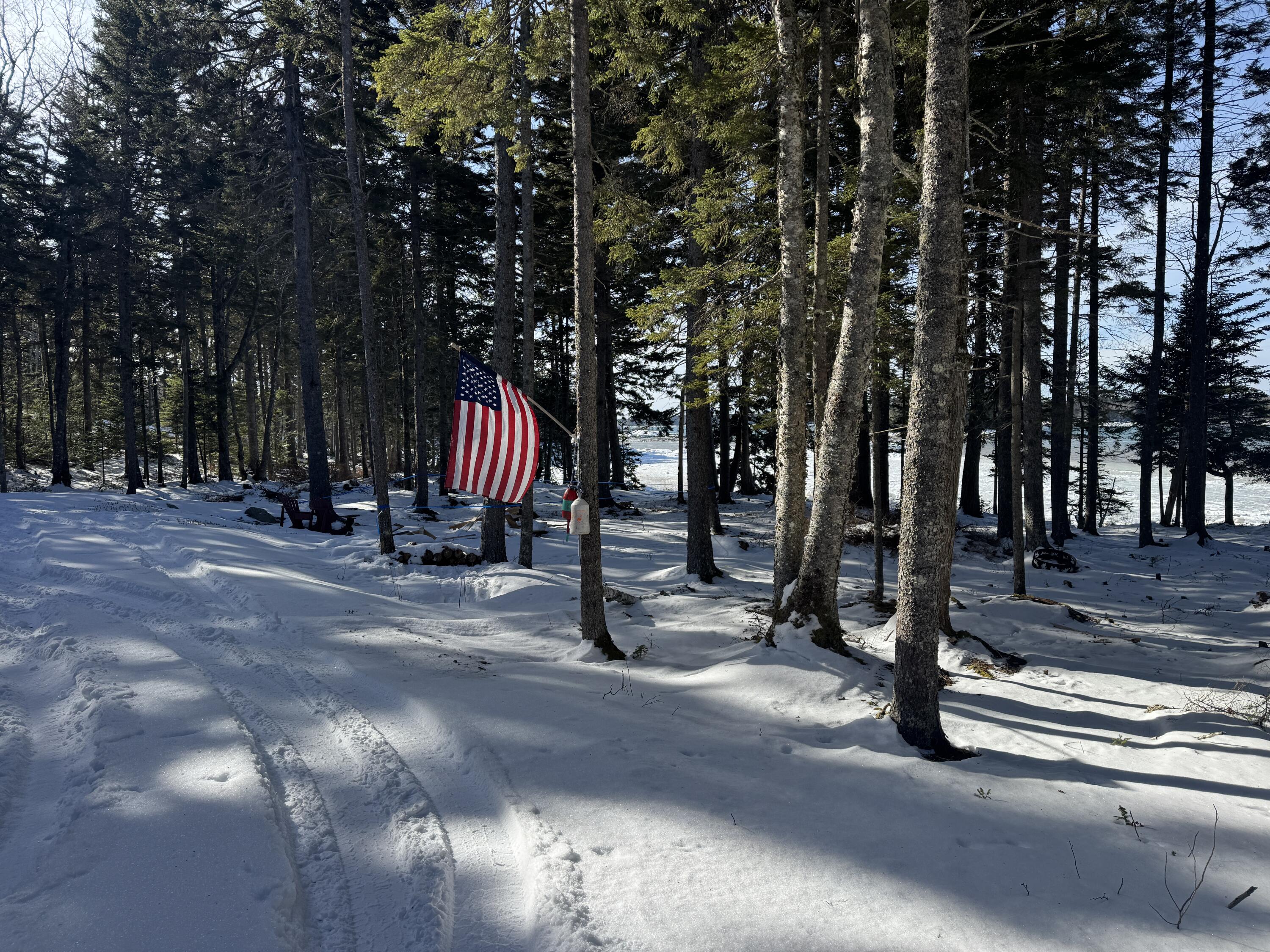 Lot B Fort Williams Road Harrington, ME 04643 - Photo 28 of 36