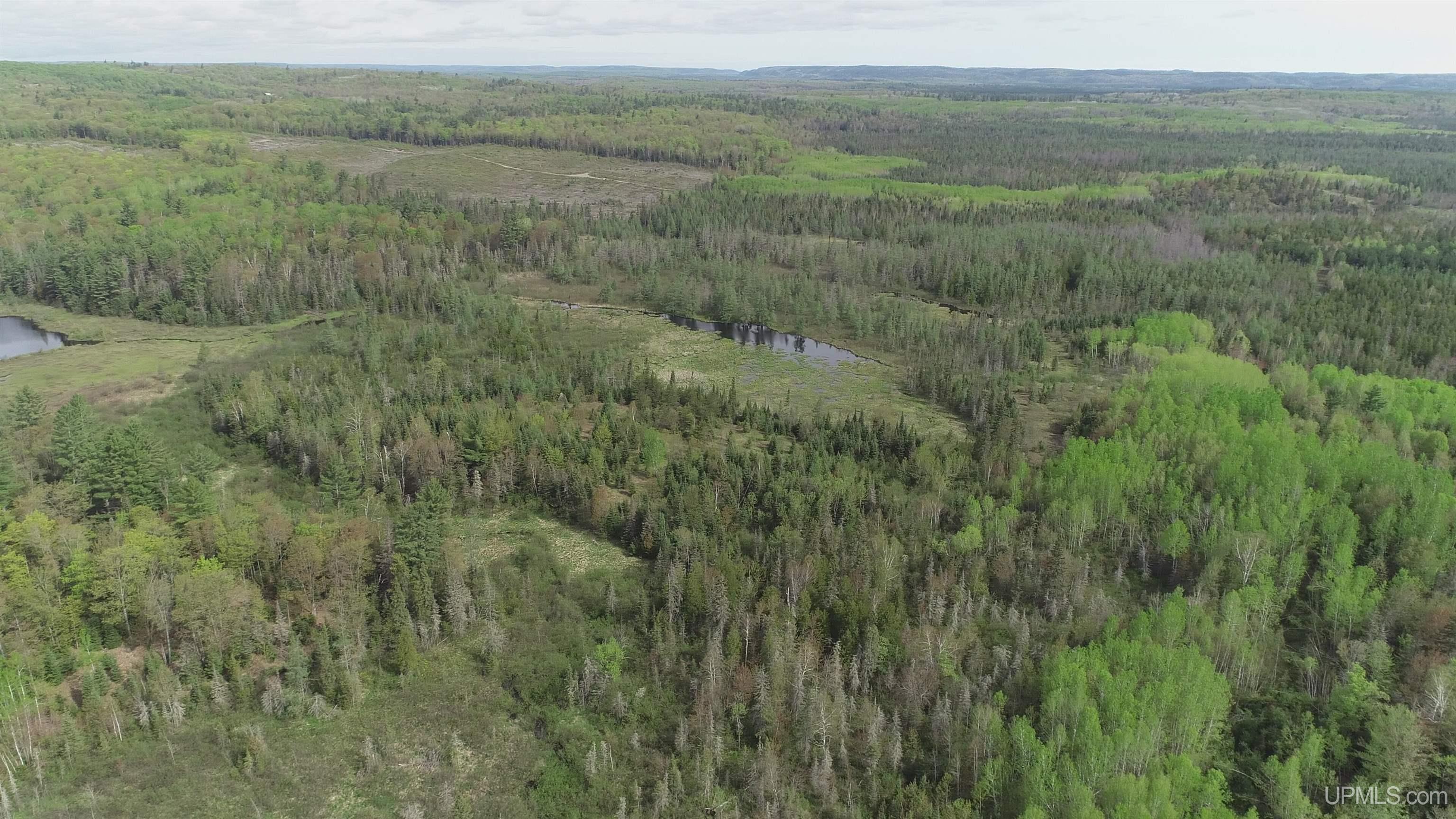 280-acres County Road CCN Road Negaunee, MI 49866 - Photo 19 of 48
