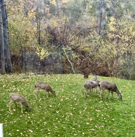 $1,850,000 | 8035 Hidden Shores Drive, Fenton, MI 48430