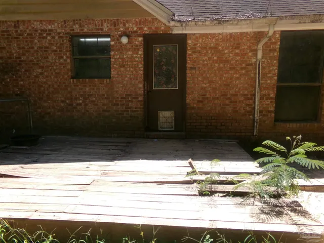 a view of a yard with trees
