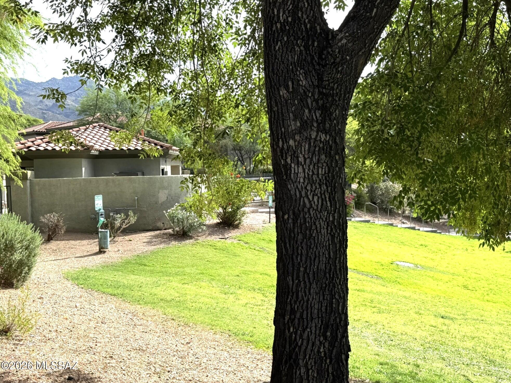 5751 North Kolb Road, Unit 40107 Tucson, AZ 85750 - Photo 21 of 27