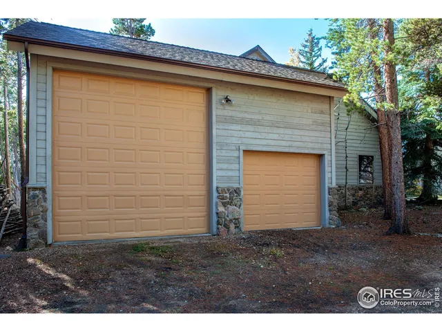 a view of a yard with plants and trees