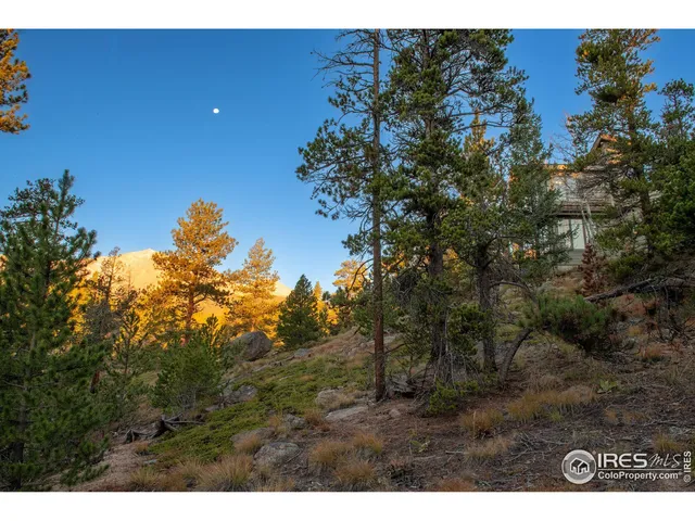 a view of outdoor space and yard