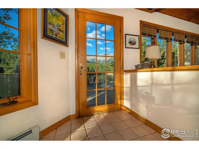 a view of a lot of trees and bushes